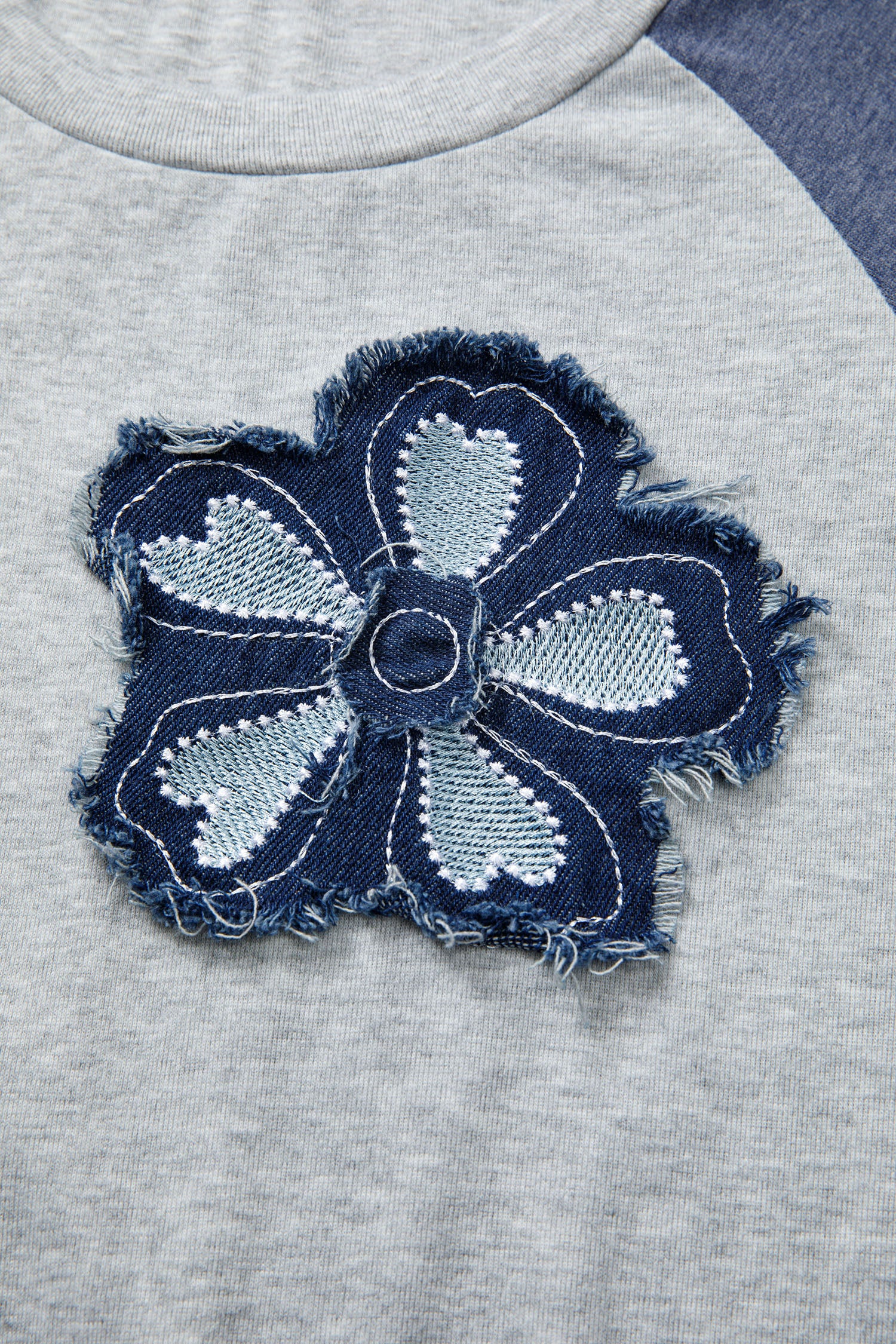 Dark Blue Color Block Flower Embroidered Patch Graphic Raglan Long Sleeve Top