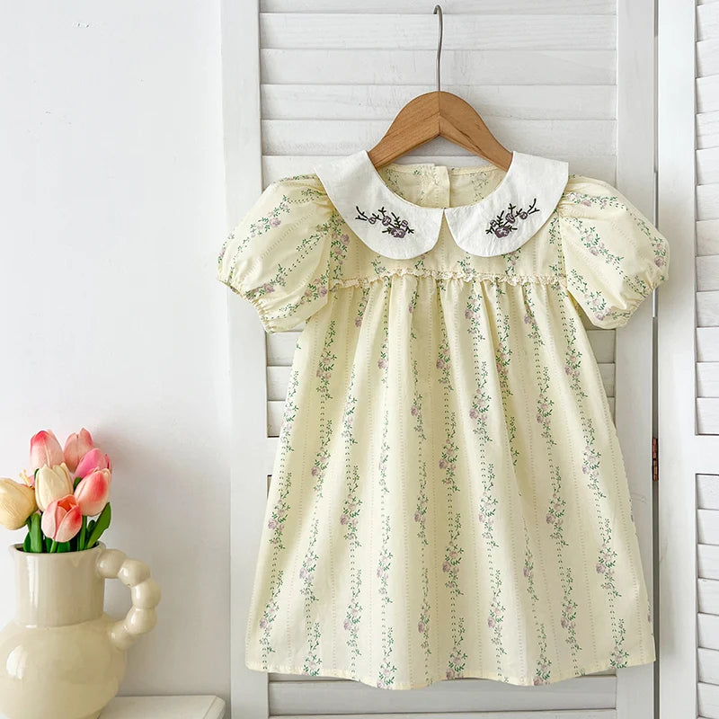 Summer Sister Baby Girls Flower Dresses Sister Matching Outfit Embroidery Collar Girl Baby Romper Princess Dress Toddler Romper