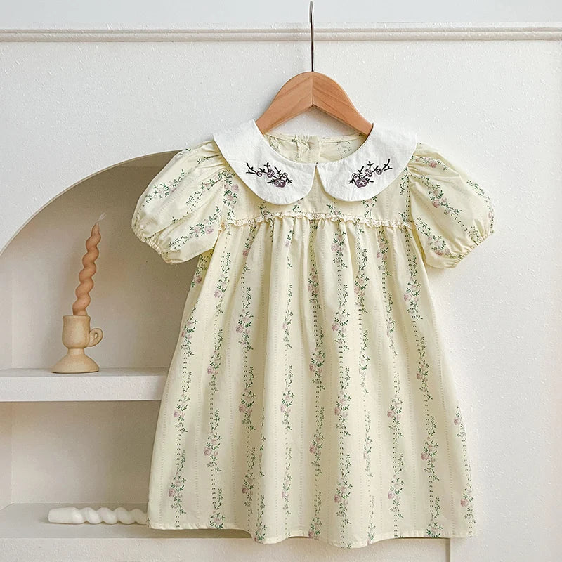 Summer Sister Baby Girls Flower Dresses Sister Matching Outfit Embroidery Collar Girl Baby Romper Princess Dress Toddler Romper
